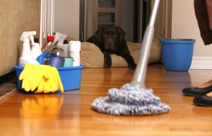 Image from http://www.activelivingzoomers.com/